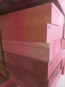 گونههای چوب راش