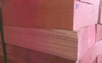 جزئیات کامل گونههای چوب راش | مقایسه راش ایرانی، اروپایی، گرجستان و ترکیه + قیمت ۱۴۰۵