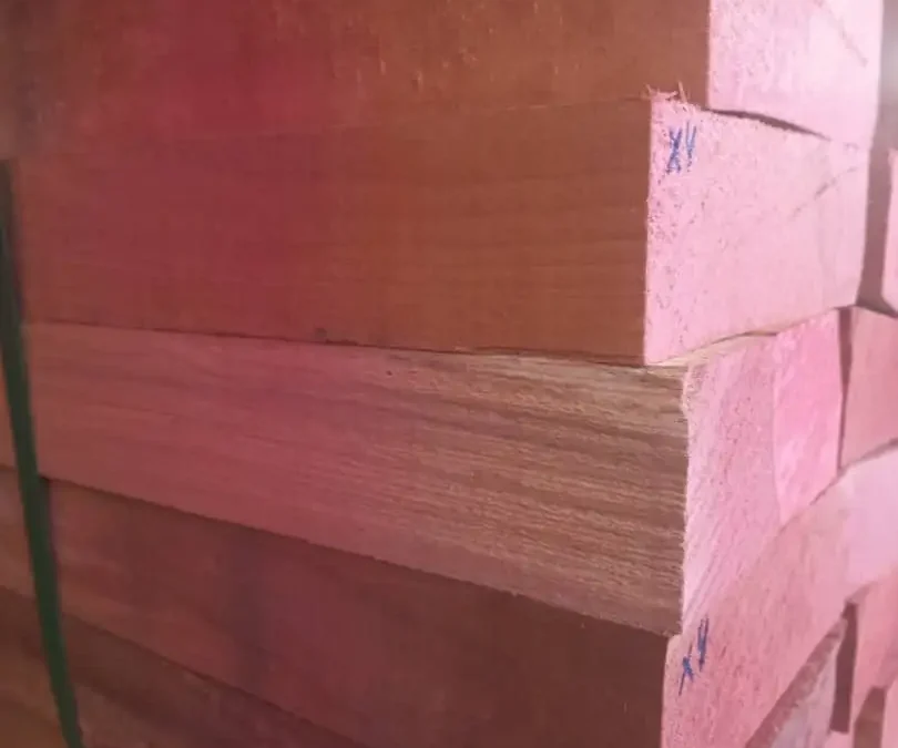 جزئیات کامل گونه‌های چوب راش | مقایسه راش ایرانی، اروپایی، گرجستان و ترکیه + قیمت ۱۴۰۵