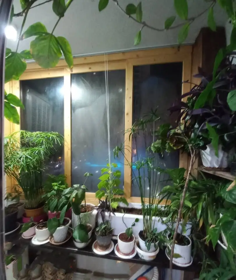 اجرای پنجره های چوبی برای گلخانه های خانگی